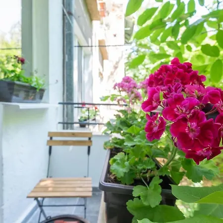 Your Perfect Place To On Vitosha Str