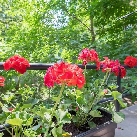 Your Perfect Place To On Vitosha Str Appartement Sofia
